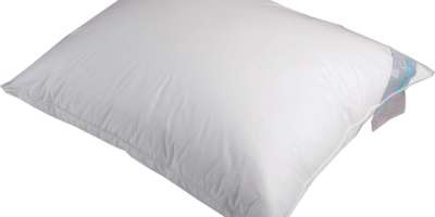 Oreiller Gilder Softline